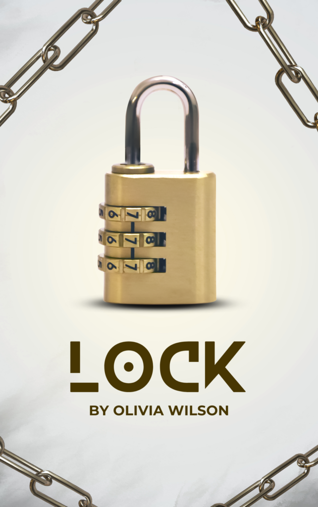 Locks in pakistan